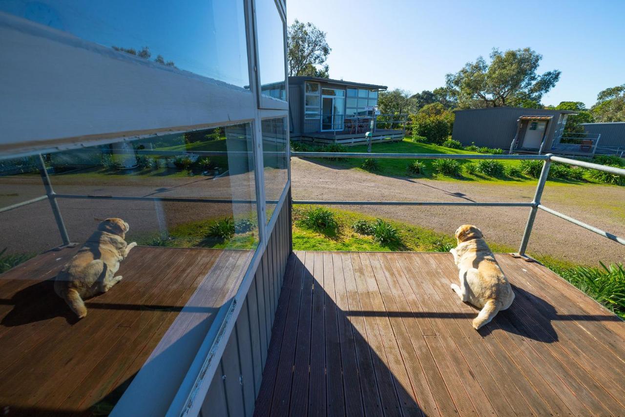 Apartamento Harmony At Tower Hill Koroit Exterior foto